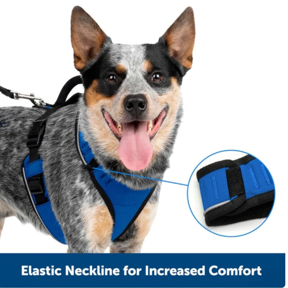 PetSafe EasySport Adjustable Dog Harness w/Control Handle Reflective•Green SizeM